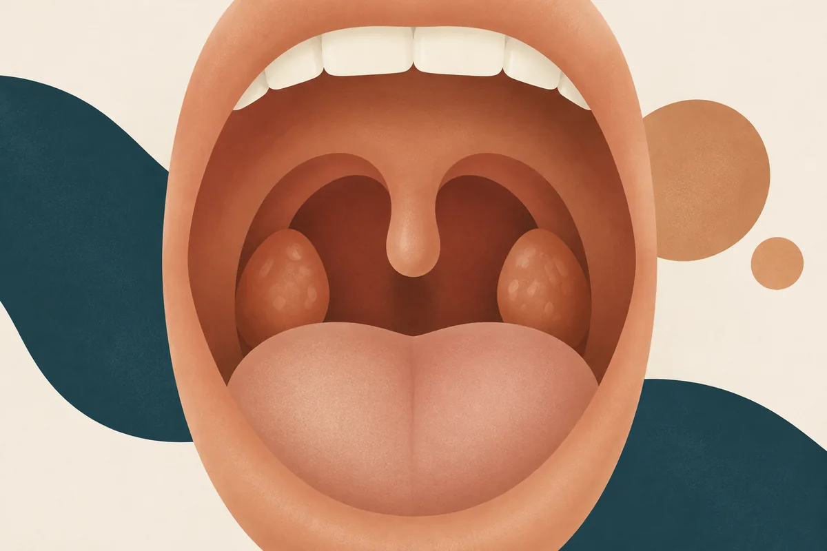 Ilustração abstrata e sugerida da garganta com as amígdalas em destaque